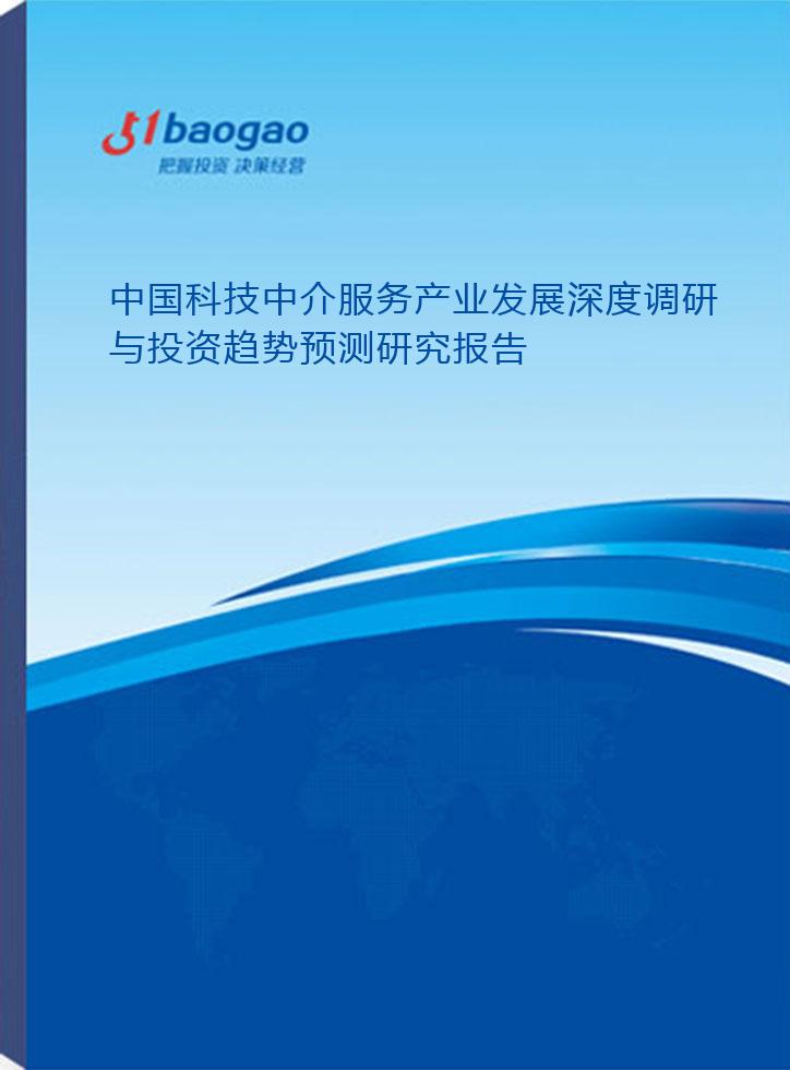 2024-2029年中国科技中介服务产业发展深度调研与投资趋势预测研究